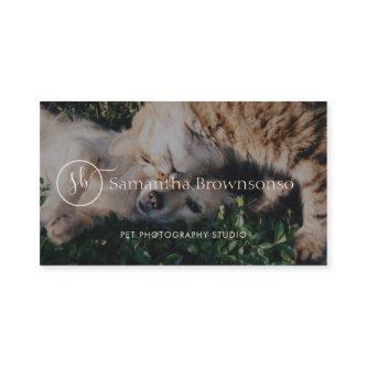 Custom Portrait Pet Photography