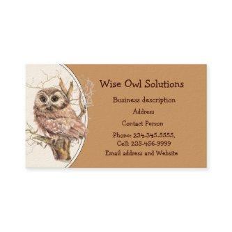 Custom Wise Owl Solutions