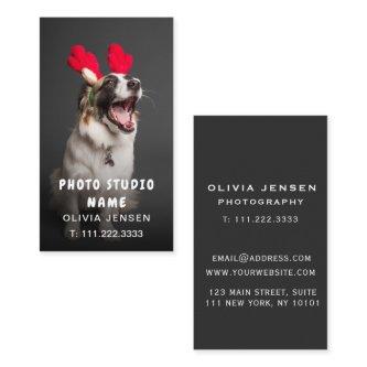 Customizable Pet Photography