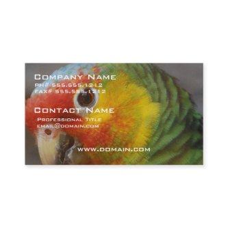 Customize Product