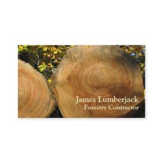 Cut logs in autumn