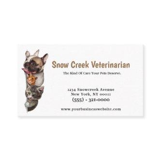 Cute Animal Medical Veterinarian Clinic Pet