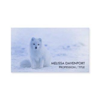 Cute Arctic Fox on Snowy Winter Background