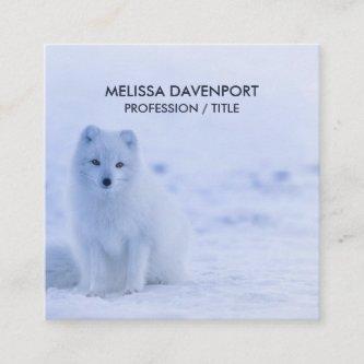 Cute Arctic Fox on Snowy Winter Background Square