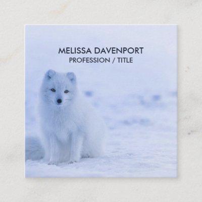 Cute Arctic Fox on Snowy Winter Background Square