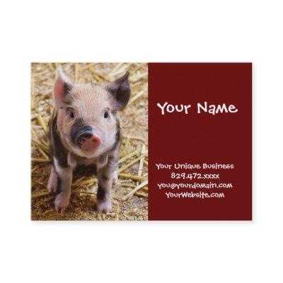 Cute Baby Piglet Farm Animals Barnyard Babies