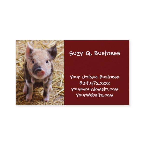 Cute Baby Piglet Farm Animals Barnyard Babies