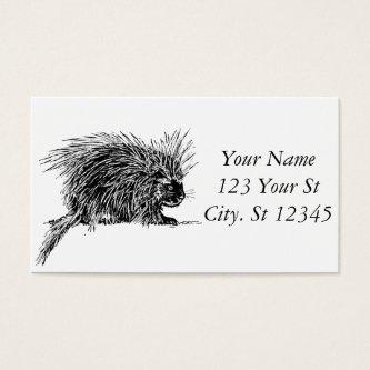 Cute Bristly Hedgehog Thunder_Cove