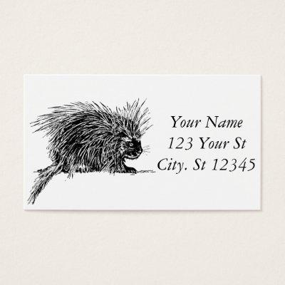 Cute Bristly Hedgehog Thunder_Cove