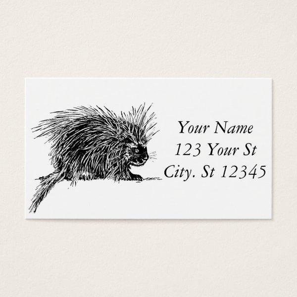 Cute Bristly Hedgehog Thunder_Cove