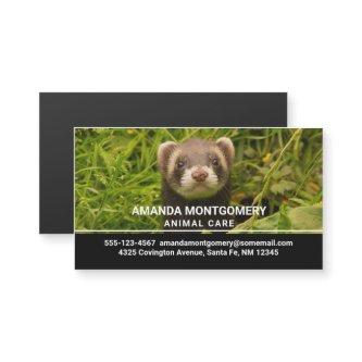 Cute Brown Ferret in the Grass Photo