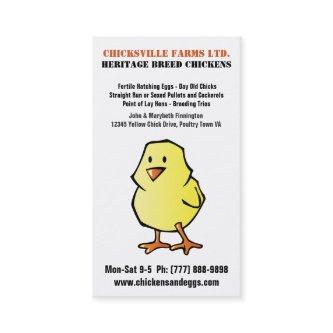 Cute Cartoon Chick Chicken Hatchery