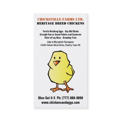 Cute Cartoon Chick Chicken Hatchery