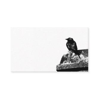 Cute Crow