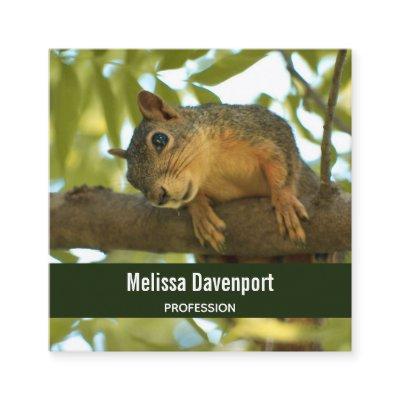 Cute Curious Squirrel Nature Photography Square