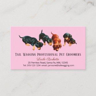 Cute Dachshund Doxie Puppies Pet Grooming Pink