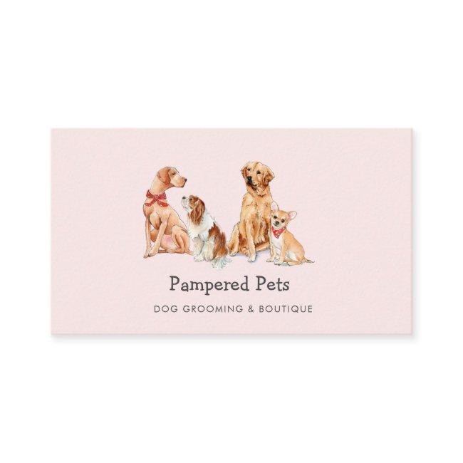 Cute Dog grooming Pet boutique