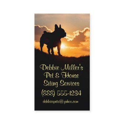 Cute Dog Pet and House Sitting