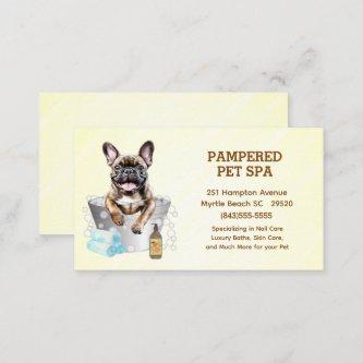 Cute French Bulldog Pet Groomer Spa Appointment