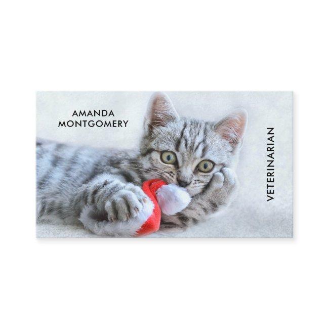 Cute Gray Tabby Cat Christmas Hat Xmas