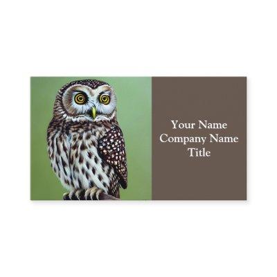 Cute Little Wilderness Woodland Owl