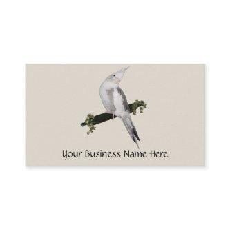 Cute Lutino Cockatiel Bird Ivy Perch Animal