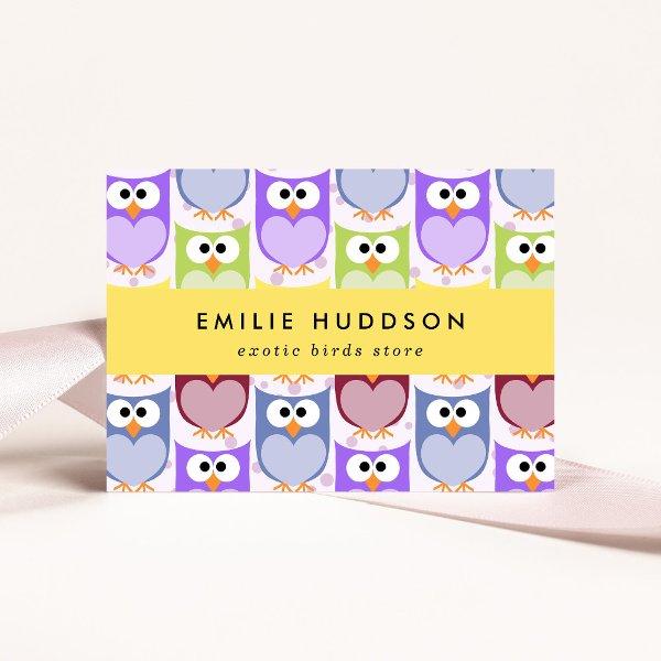 Cute Owls, Owl Pattern, Pet Shop, Bird Store