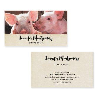 Cute Pink Piglets Animal Photograph
