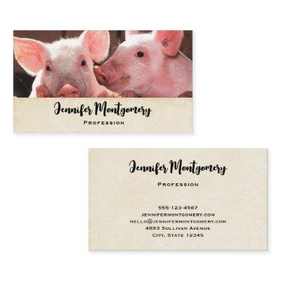 Cute Pink Piglets Animal Photograph