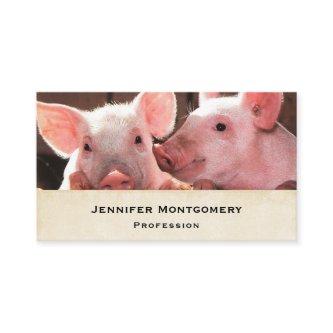 Cute Pink Piglets Animal Photograph