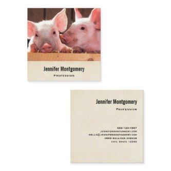 Cute Pink Piglets Animal Photograph Square