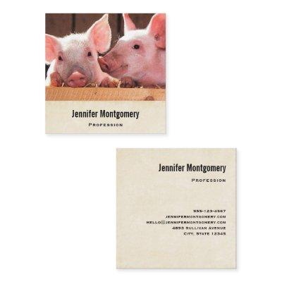 Cute Pink Piglets Animal Photograph Square