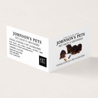 Cute Pups, Pet Store & Groomers Detailed