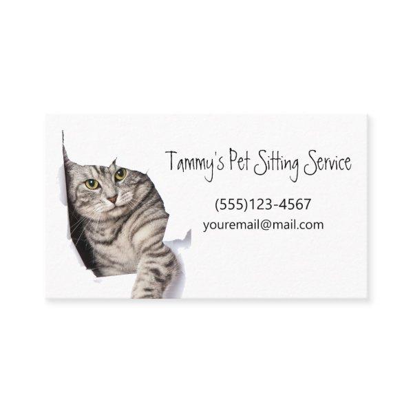 Cute Unique Cat Pet Sitting Service