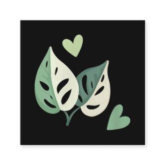 Cute Variegated Monstera Adansonii  Swiss Cheese Square