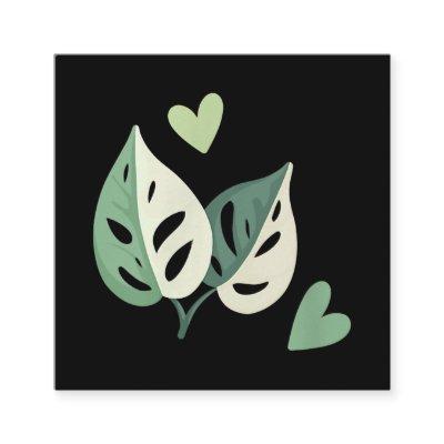 Cute Variegated Monstera Adansonii  Swiss Cheese Square