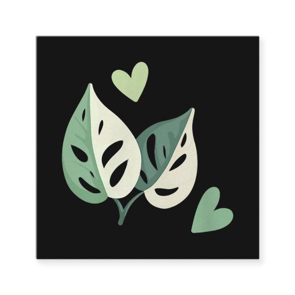 Cute Variegated Monstera Adansonii  Swiss Cheese Square