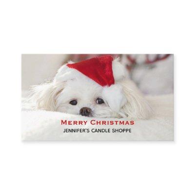 Cute White Dog in a Red Christmas Hat