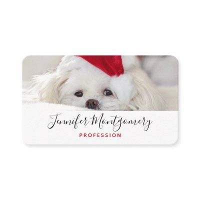 Cute White Dog in a Red Christmas Hat