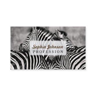 Cute Zebra Herd Nature Safari Black White