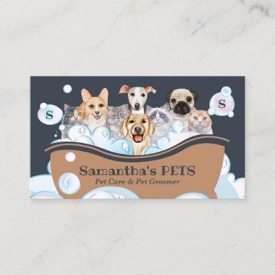 Cutest Dogs Cats Spa Sitter Groom PetCare Bathing