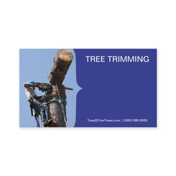 Cutting Down A Tree Service
