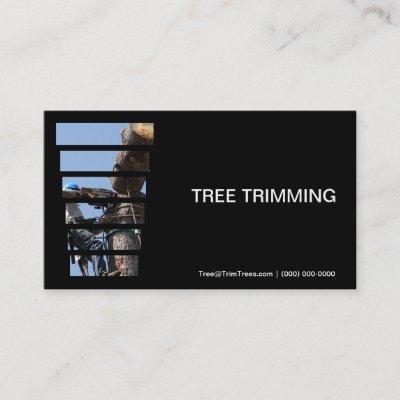 Cutting Down A Tree Trimmers