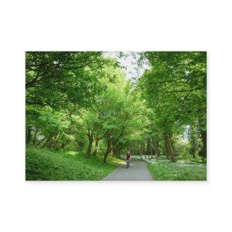 Cycle Way