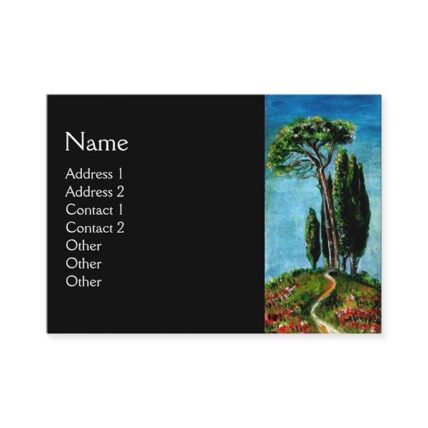 CYPRESS TREES AND MEDITERRANIAN PINE IN TUSCANY