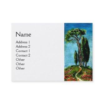 CYPRESS TREES AND MEDITERRANIAN PINE IN TUSCANY