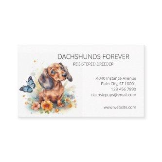 Dachshund Puppys Dog Breeder