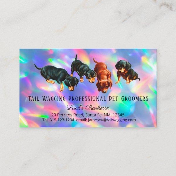 Dachshund Pups Pet Grooming Holographic Rainbow