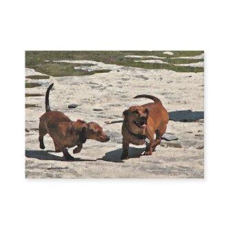 Dachshunds ATC