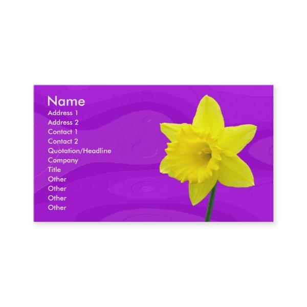 Daffodill